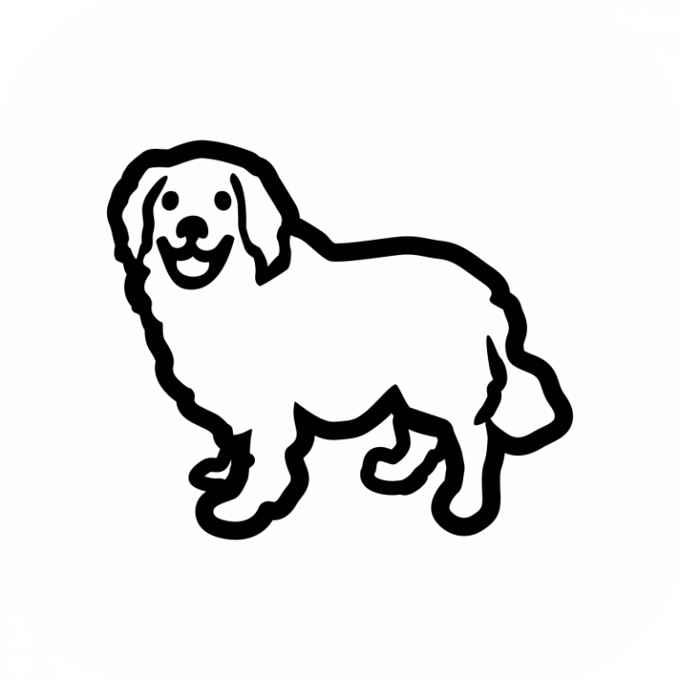 Golden Retriever Stood