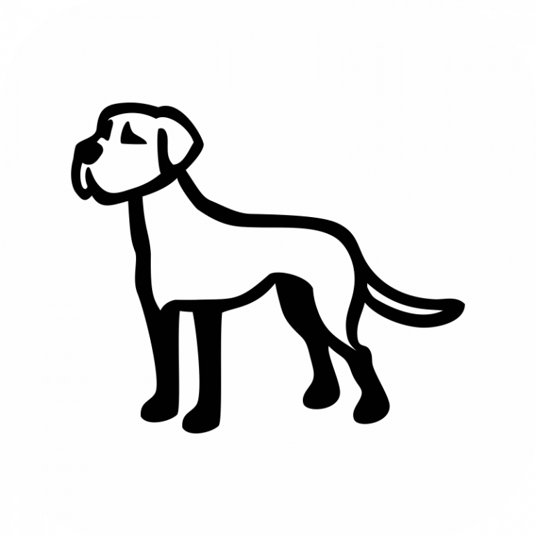 Great Dane (Floppy Ears)