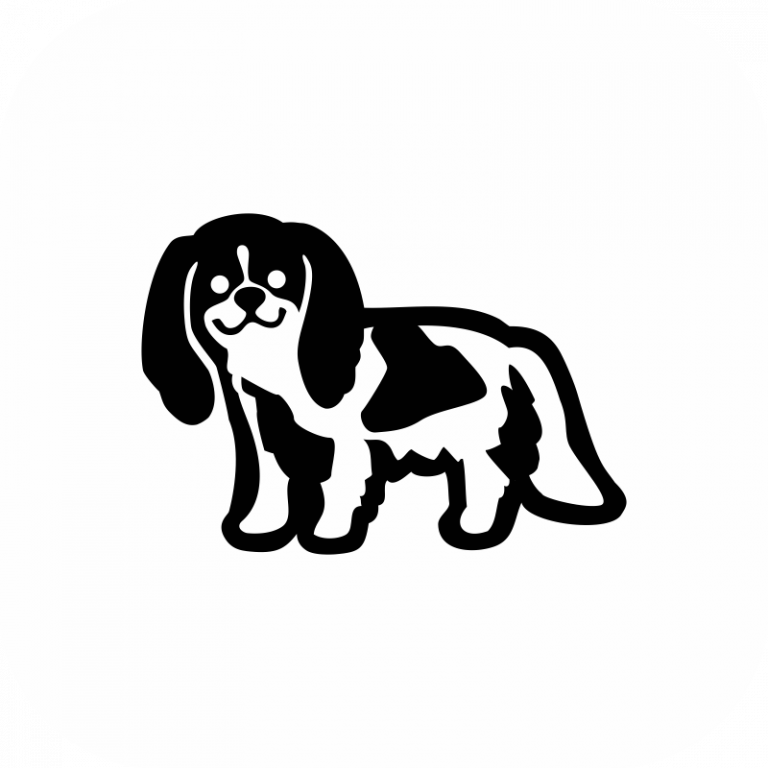 King Charles Spaniel