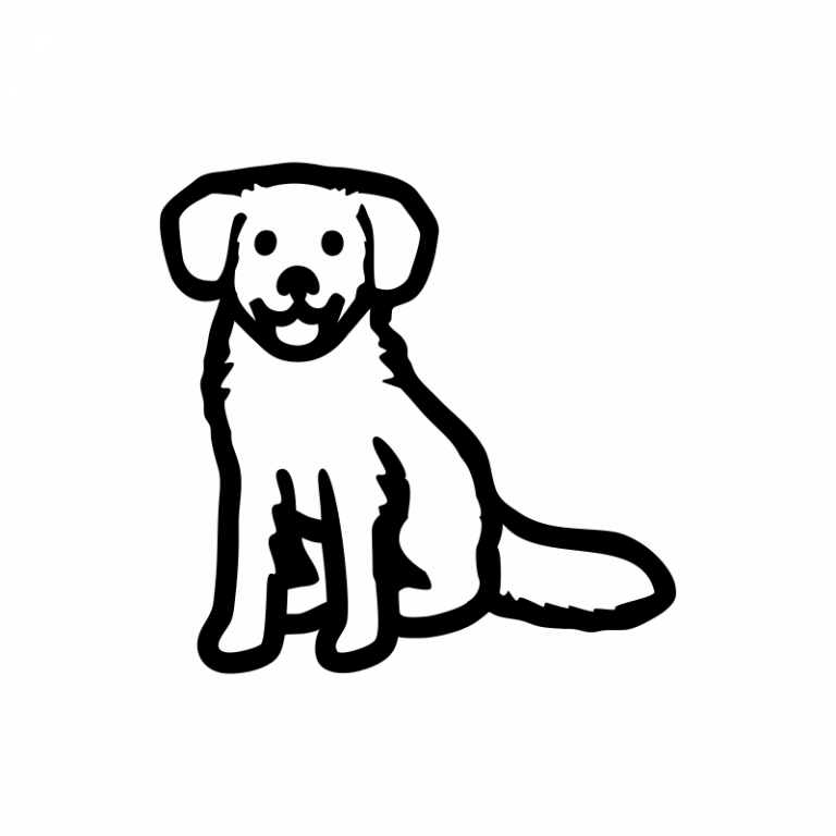 Nova Scotia Duck Retriever