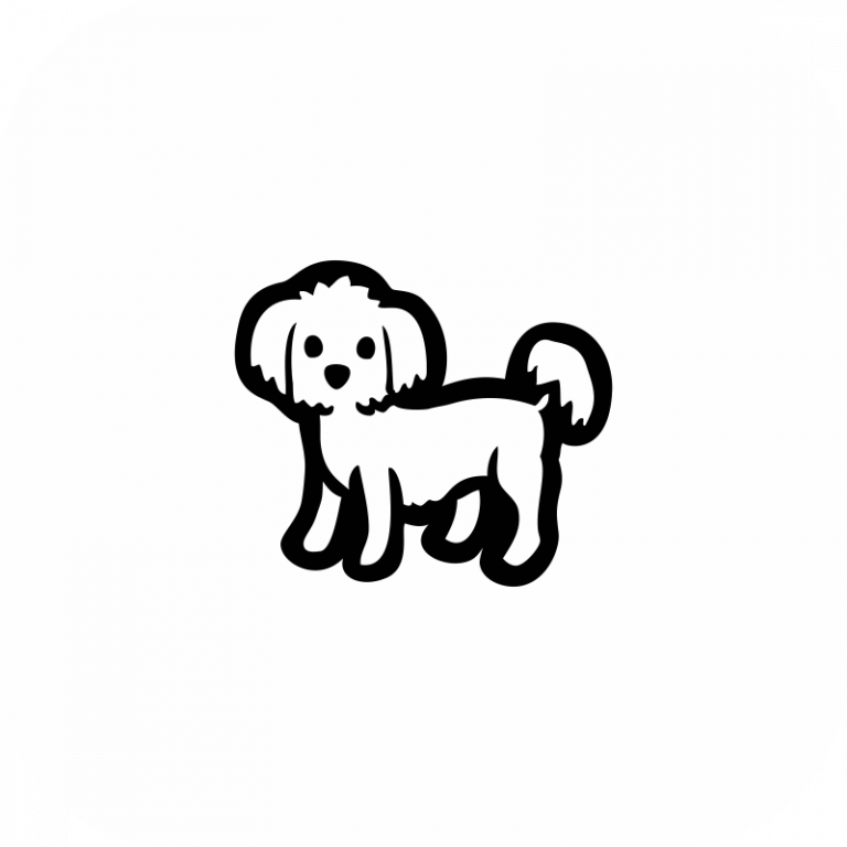 Yorkie Shitzu Maltese Mix