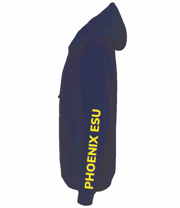 Hawk District Explorer Contrast Hoodie - Image 10