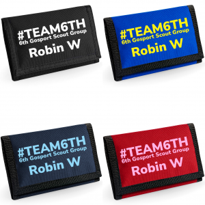 Team6th Wallet